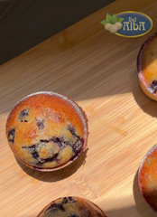 BLUEBERRIES MUFFINS